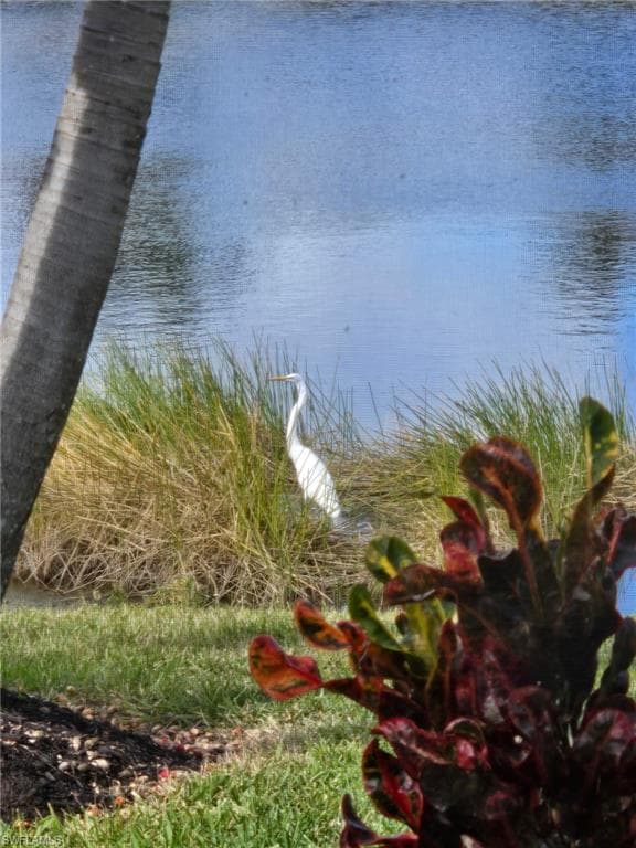 14569 Sonoma Blvd, Naples, FL 34114-32