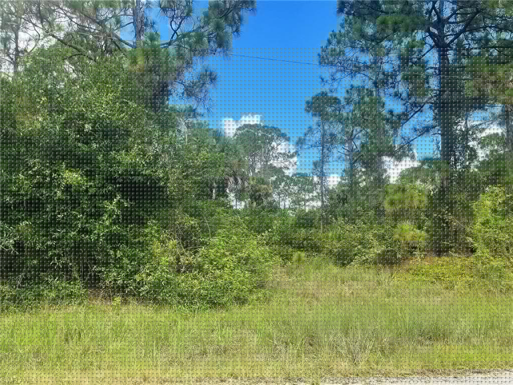 1026 Barcelona St E, Lehigh Acres, FL 33974-1