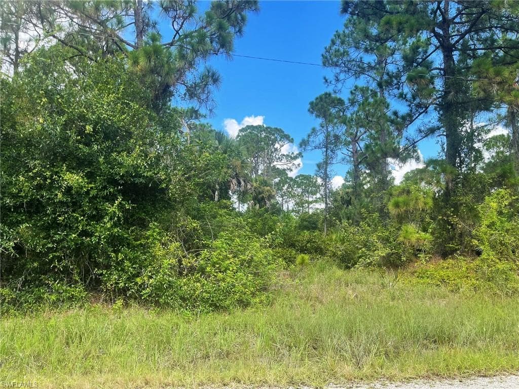 1026 Barcelona St E, Lehigh Acres, FL 33974-2