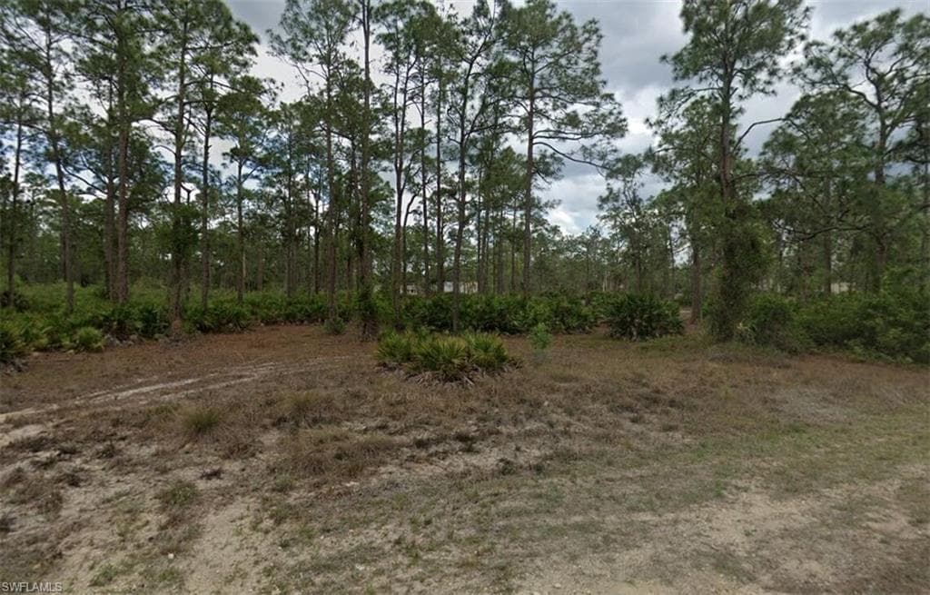 1504 Maple Ave N, Lehigh Acres, FL 33972-1