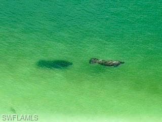 1036 Collier Blvd 804, Marco Island, FL 34145-21