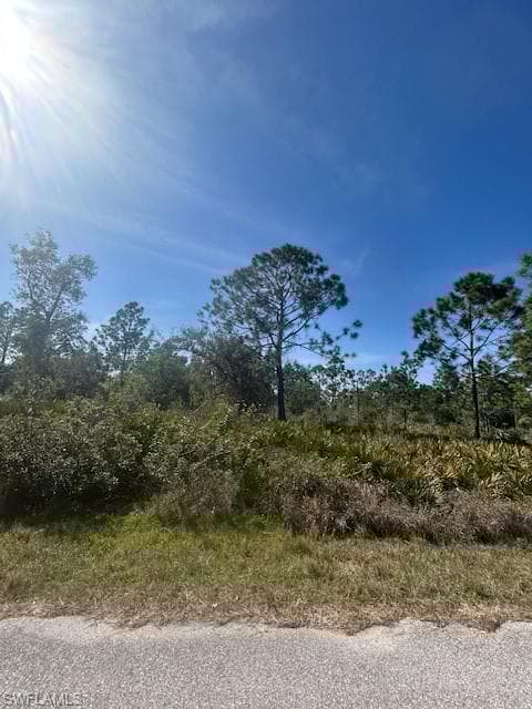 3271 Dunkirk St, Port Charlotte, FL 33980-3