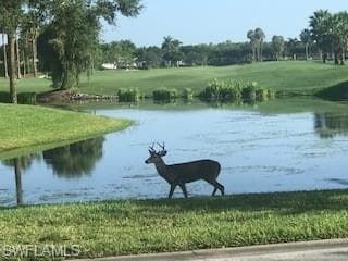3800 Sawgrass Way 3126, Naples, FL 34112-29