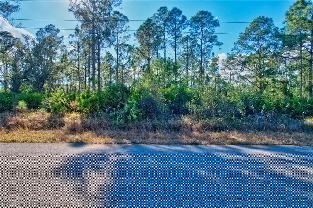 1221 Abbott Ave, Lehigh Acres, FL 33972-1