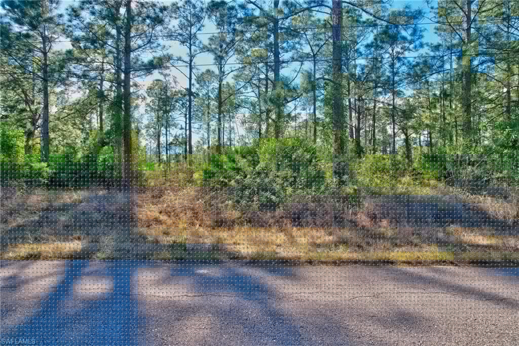 1221 Abbott Ave, Lehigh Acres, FL 33972-21