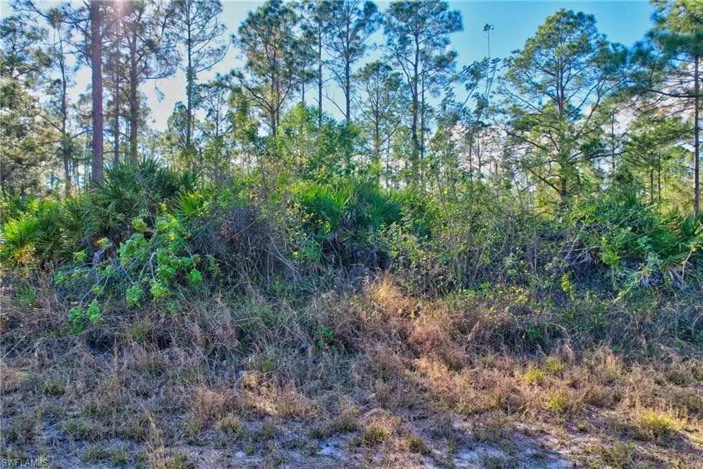 1221 Abbott Ave, Lehigh Acres, FL 33972-24