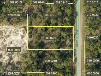 1221 Abbott Ave, Lehigh Acres, FL 33972-3