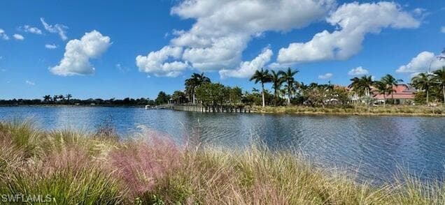 6553 Dominica Dr 101, Naples, FL 34113-23