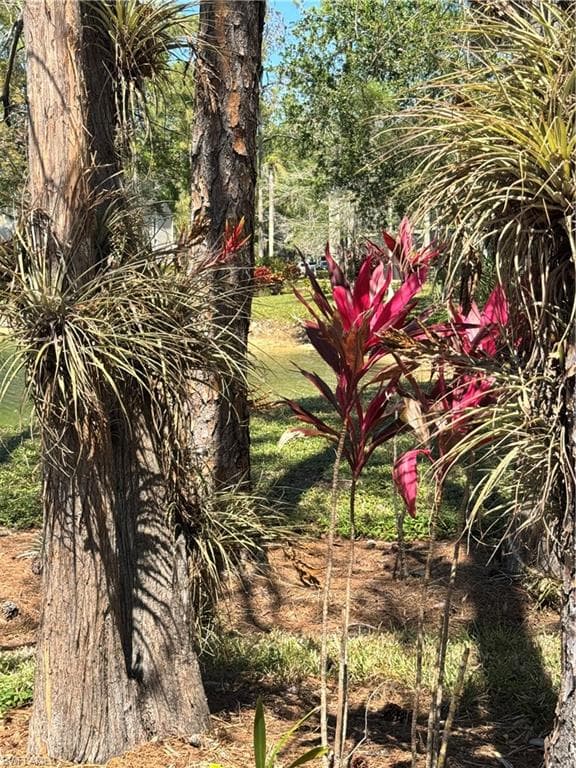 5767 Deauville Cir D308, Naples, FL 34112-9