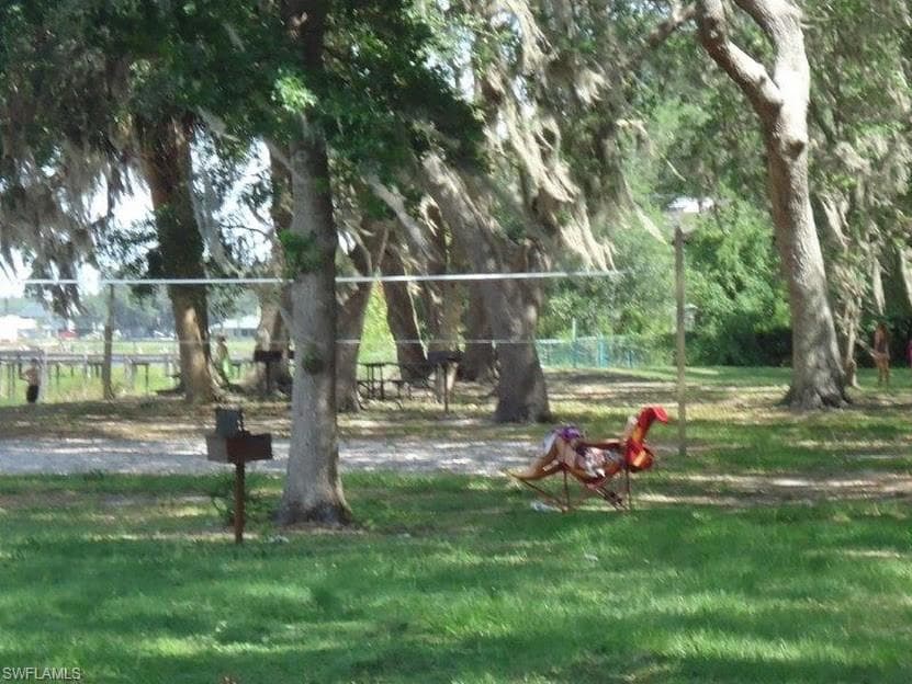 25334 140th St, Salt Springs, FL 32134-4