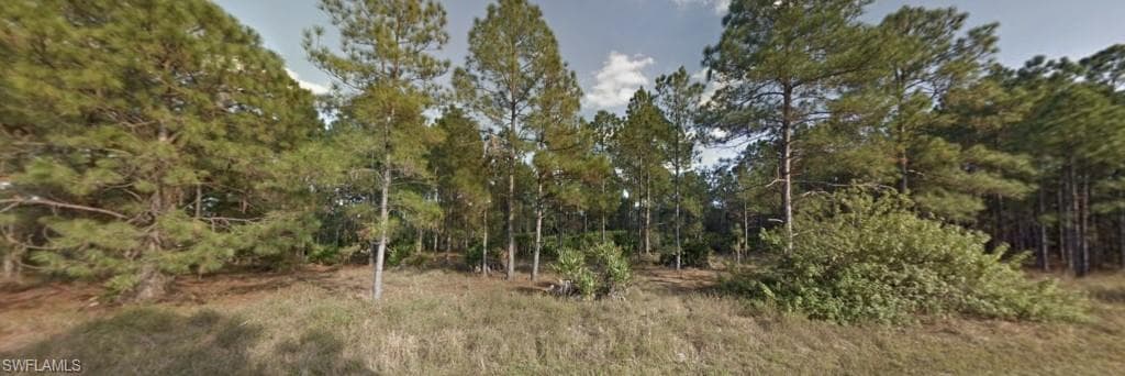 1314 Leroy Ave, Lehigh Acres, FL 33972-2