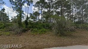 1042 Hobart St, Lehigh Acres, FL 33974-3