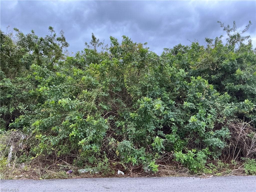 3103 13th St W, Lehigh Acres, FL 33971-2
