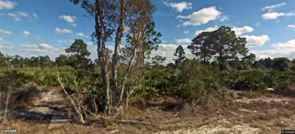 4628 Laura Ave N, Lehigh Acres, FL 33971-1