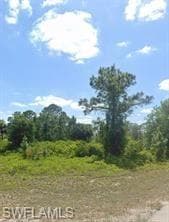2515 54th St W, Lehigh Acres, FL 33971-4
