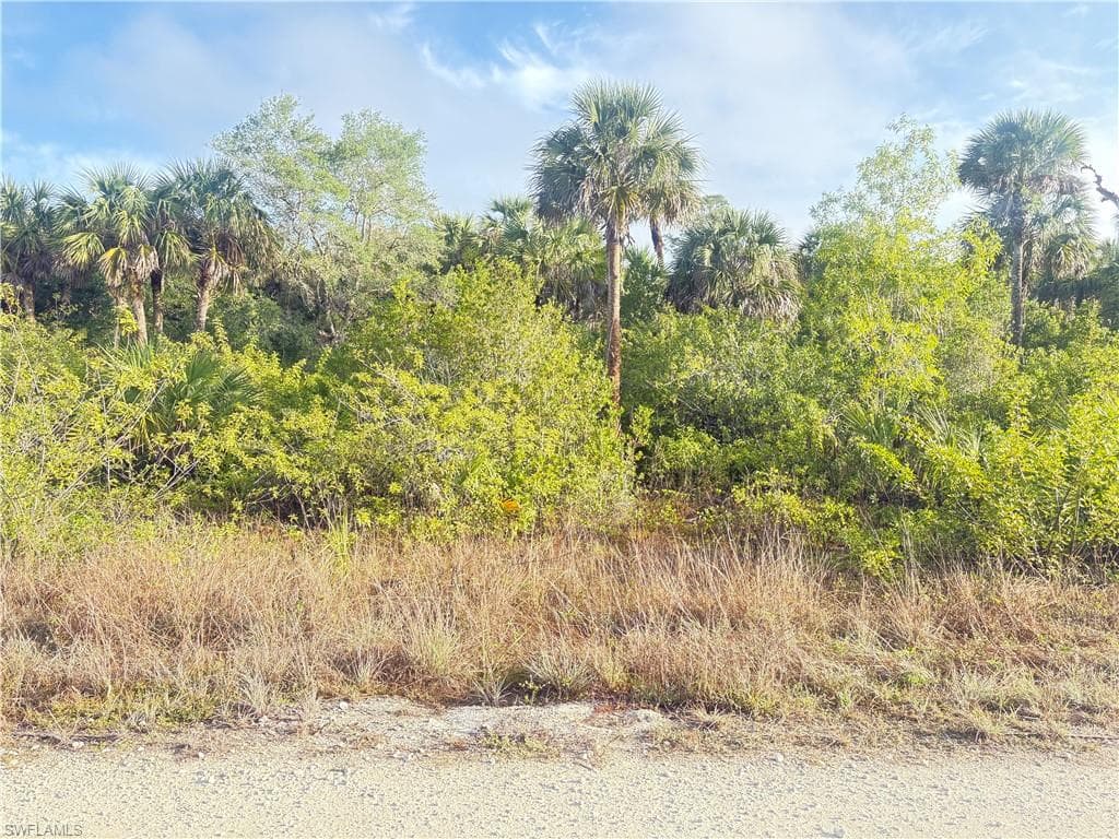 Xx 42nd Ave SE, Naples, FL 34117-3