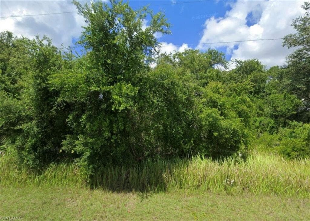 Thumbnail Image 1