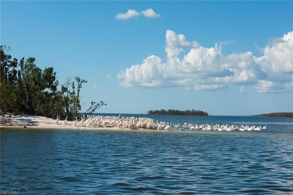 230 Newport Dr 602, Naples, FL 34114-42