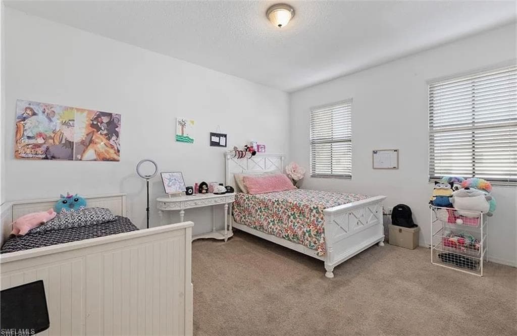 5478 Ferris Ave, Ave Maria, FL 34142-13