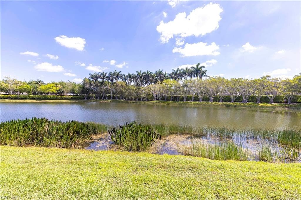 10740 Mirasol Dr 201, Miromar Lakes, FL 33913-40