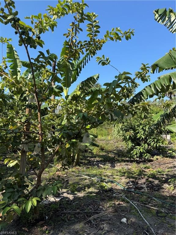 4122 14th Ave SE, Naples, FL 34117-24