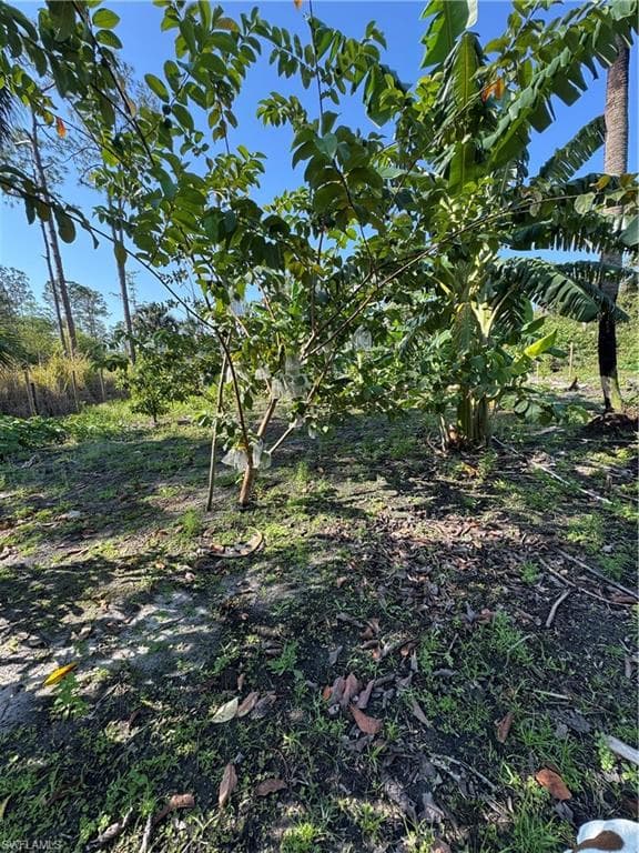 4122 14th Ave SE, Naples, FL 34117-28