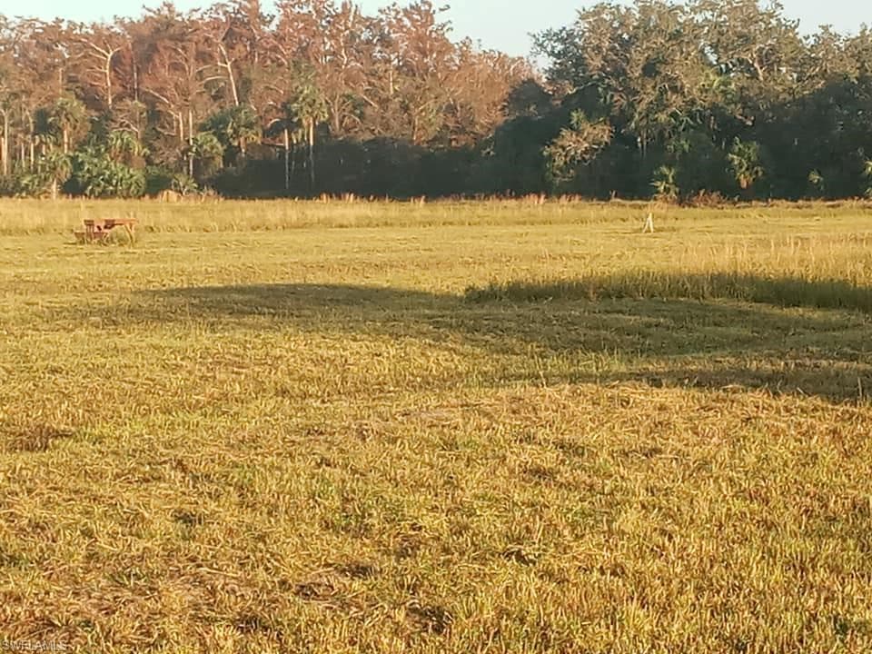 46310 Neal Rd, Punta Gorda, FL 33982-6