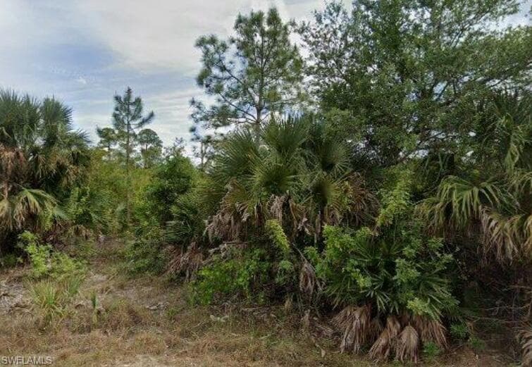 2517 Catron Cir, Lehigh Acres, FL 33971-3