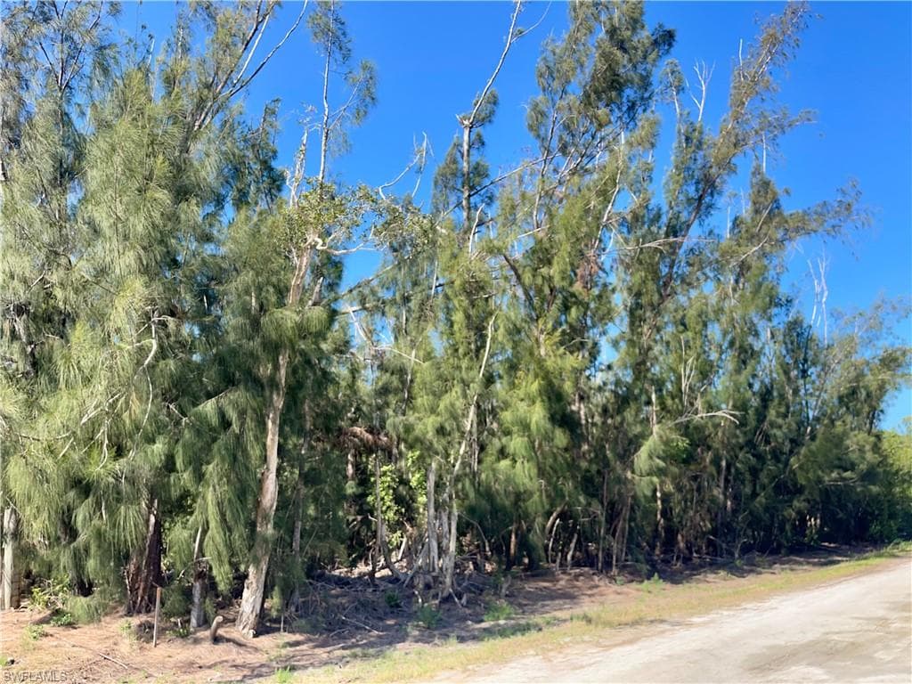 4307 Courtney Rd, St. James City, FL 33956-5