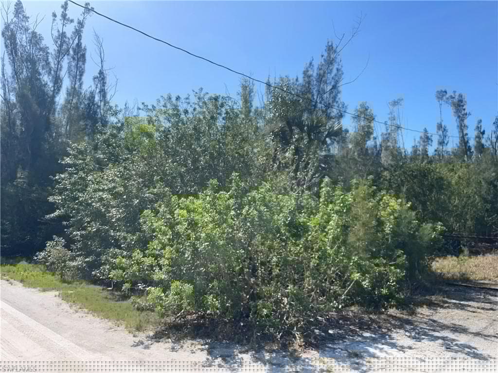 4307 Courtney Rd, St. James City, FL 33956-8