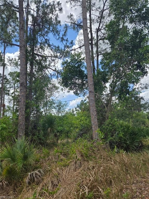 2556 Randall Blvd, Naples, FL 34120-1