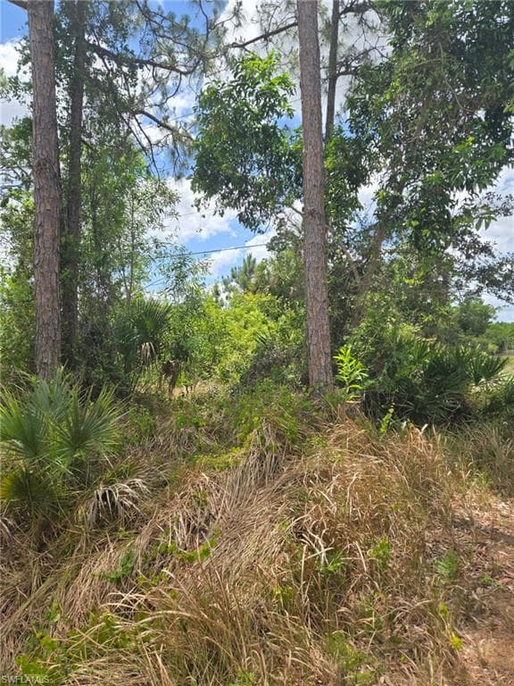 2556 Randall Blvd, Naples, FL 34120-3