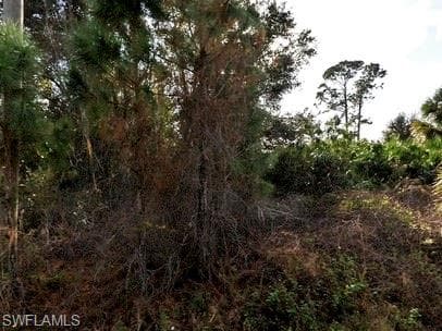 Smyers Ave, North Port, FL 34288-3