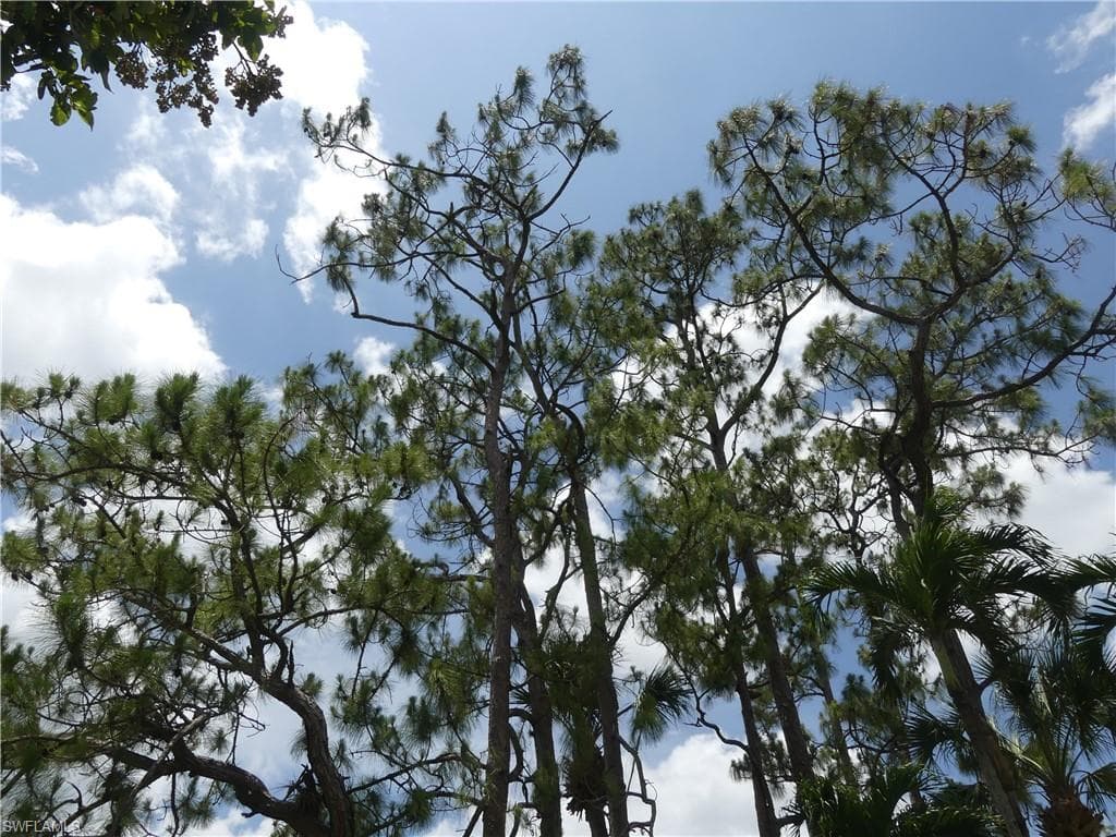 1704 Kings Lake Blvd 105, Naples, FL 34112-32