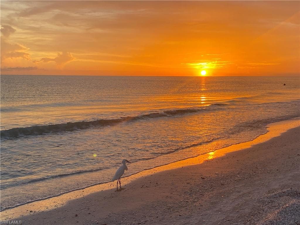 815 Rose Ct, Marco Island, FL 34145-41