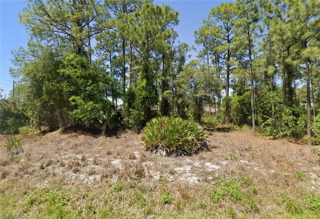 2442 Mae Ave S, Lehigh Acres, FL 33973-2