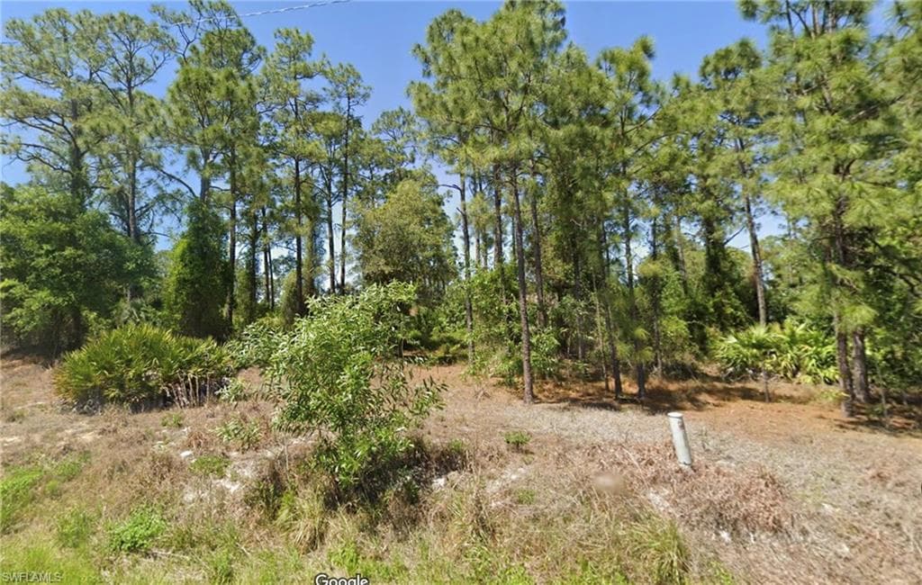 2442 Mae Ave S, Lehigh Acres, FL 33973-3