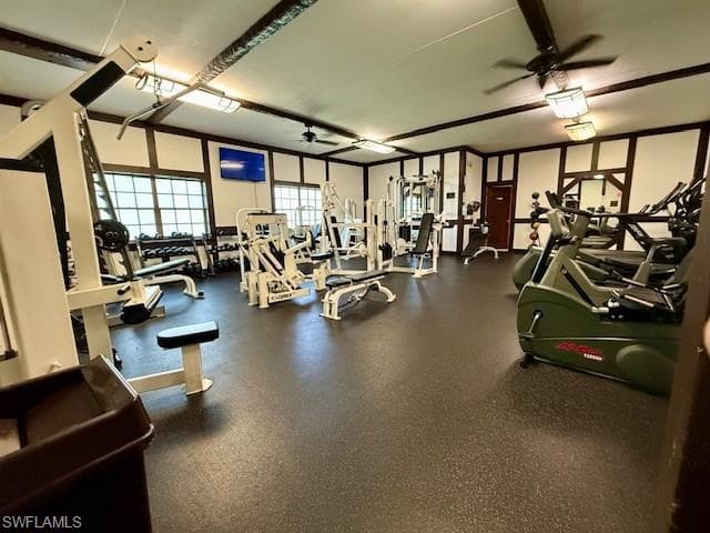 Property Image 22