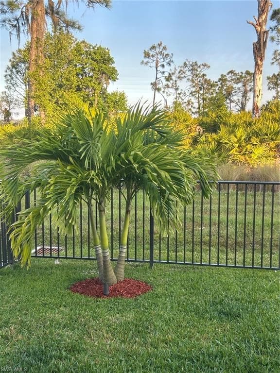 5725 Cassidy Ln, Ave Maria, FL 34142-31