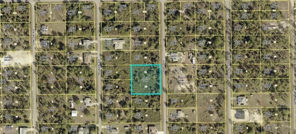 1115 Grant Ave, Lehigh Acres, FL 33972-3