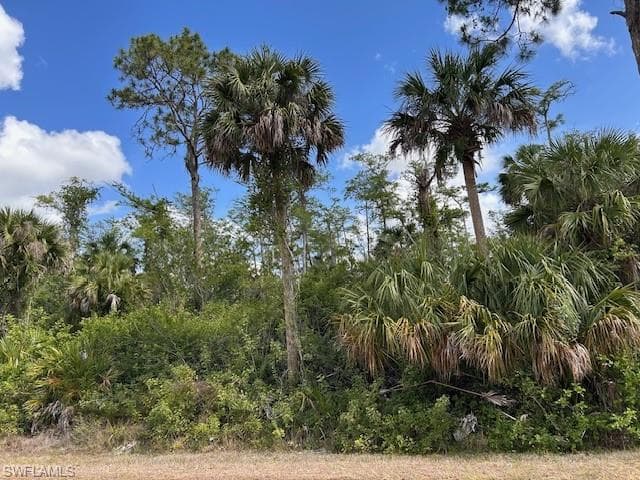 27xx 18th Ave NE, Naples, FL 34120-1