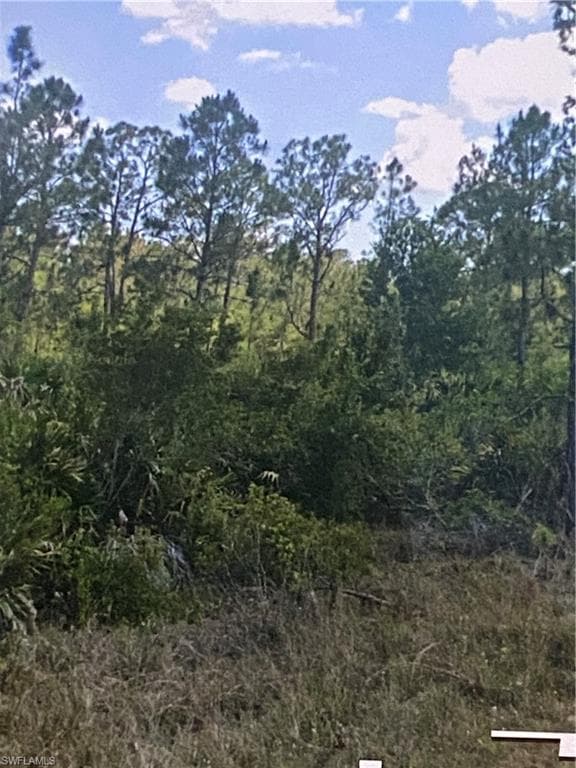 315 Nagle Ct, Lehigh Acres, FL 33972-4