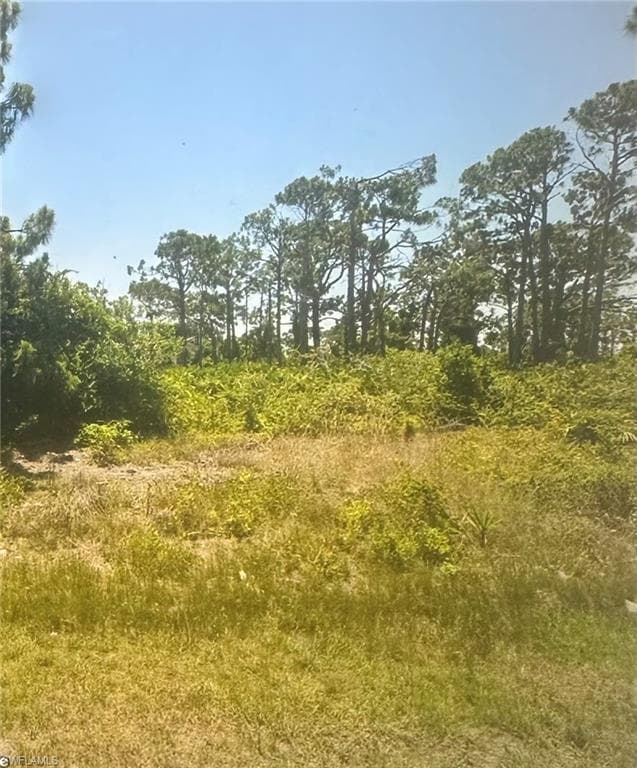8234 Dimstead St, Port Charlotte, FL 33981-1