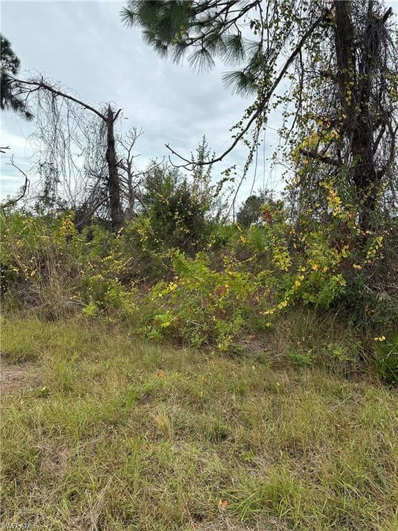 8234 Dimstead St, Port Charlotte, FL 33981-5