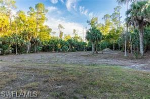 3430 27th Ave SW, Naples, FL 34117-29