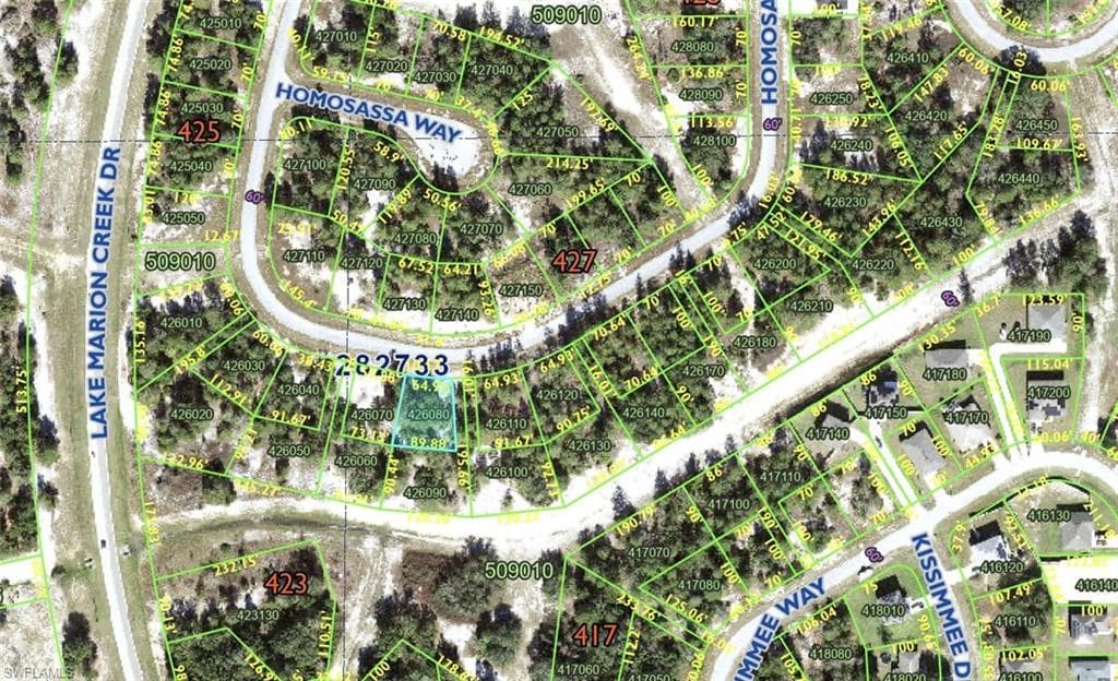 1348 Homosassa Dr, Poinciana Place, FL 34759-2