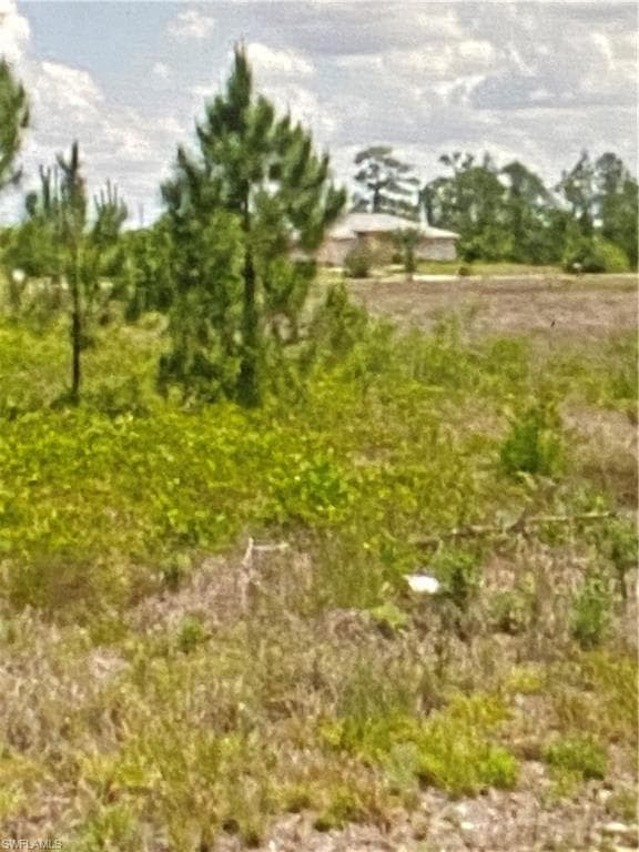 1412 Wells Ave, Lehigh Acres, FL 33972-4