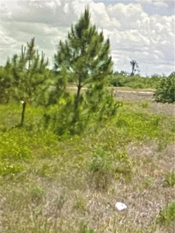 1412 Wells Ave, Lehigh Acres, FL 33972-5