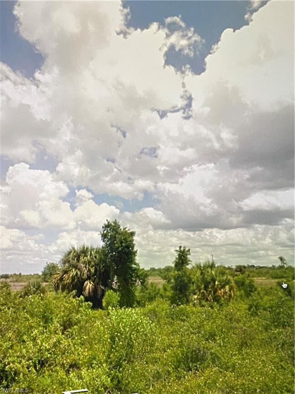 1410 Wells Ave, Lehigh Acres, FL 33972-4