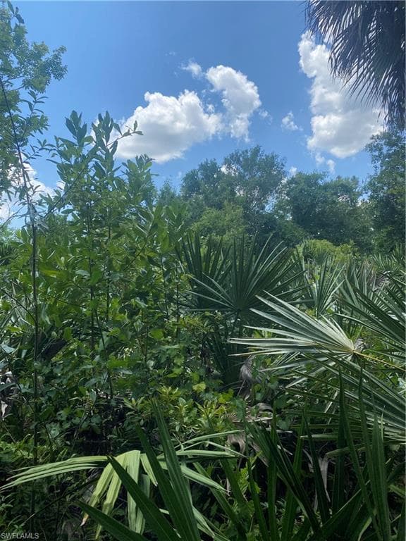 0000 44 St NE, Naples, FL 34120-6
